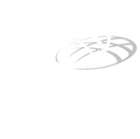 Worldcom Public Relations Group